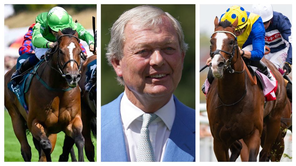 Jm Jungle, William Haggas and More Thunder will be eyeing G1 sprints this autumn