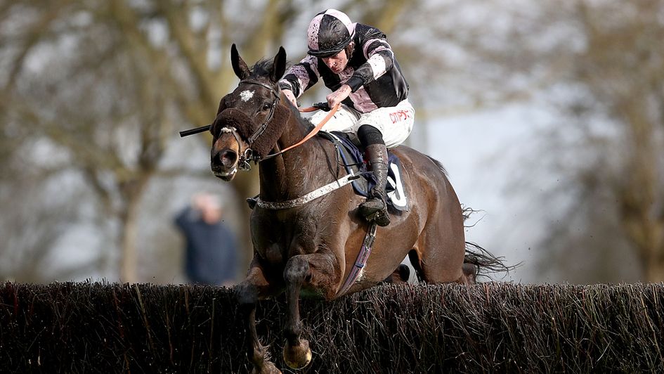 Sam's Adventure - on target for Haydock