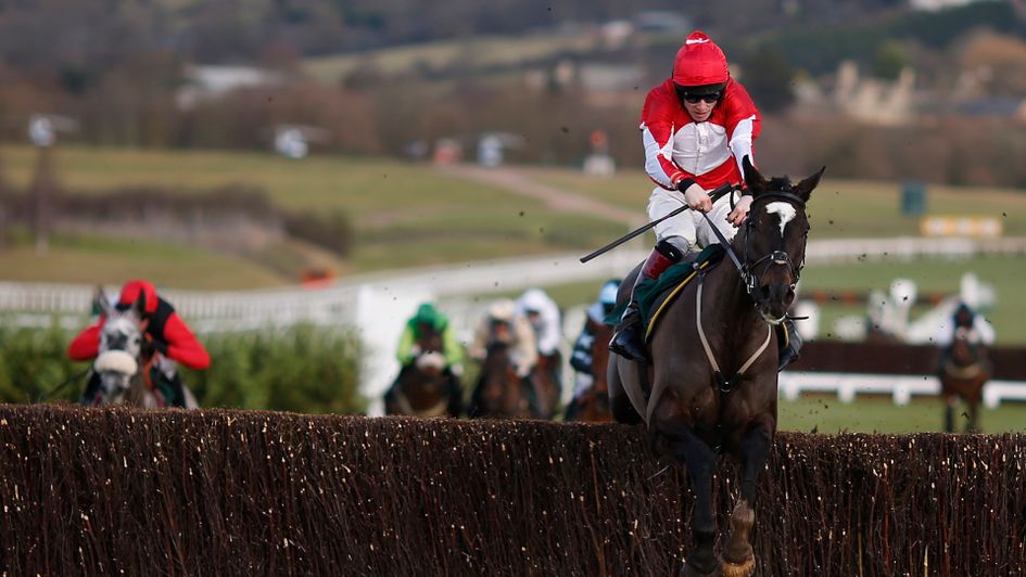 Foxtail Hill is among the entries at Cheltenham