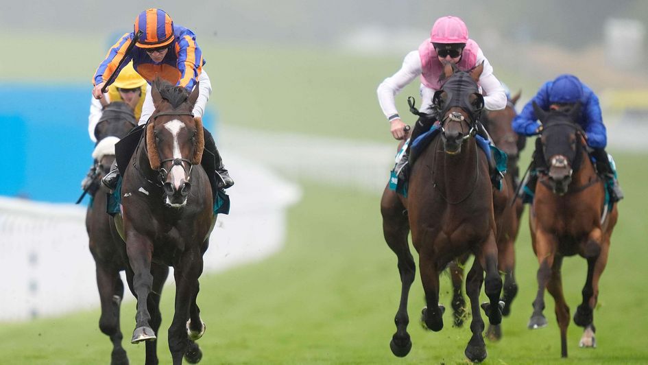Scandinavia wins the Goodwood Cup