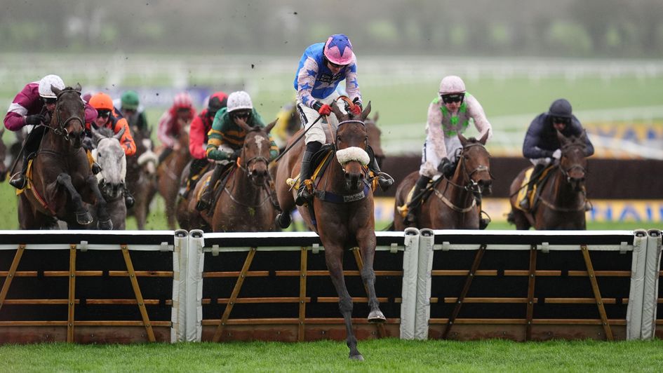 White Noise wings the last under Tom Bellamy