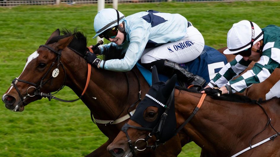 Scenic edges a York thriller