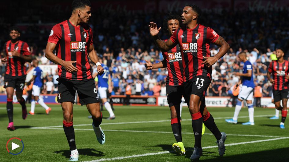 Bournemouth celebrate Callum Wilson's (right) goal against Everton - scroll down to watch highlights