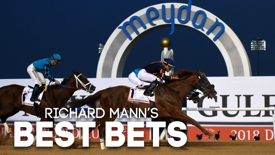 Richard Mann S Meydan Preview Tips Including First Nation And Divine Image