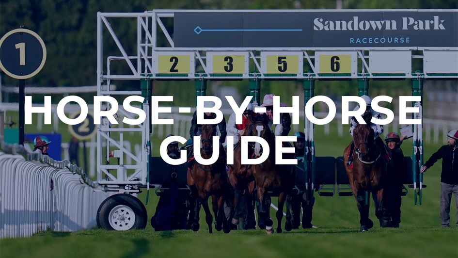 Check out our preview for Saturday's Sandown feature