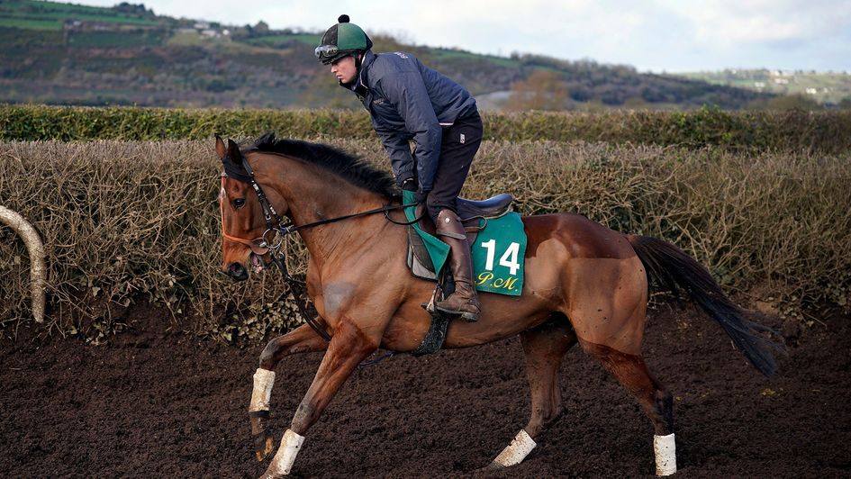 El Fabiolo on the Willie Mullins gallops