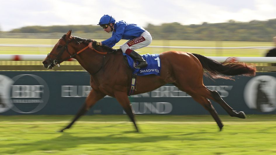 Racing Tips Preview Timeform Highlights From Goodwood And Beverley