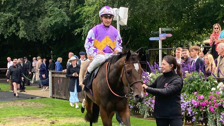 Andrea Atzeni returns in triumph on Lezoo