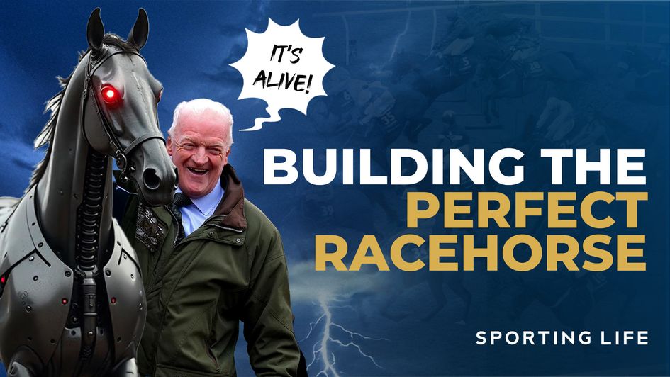 Scroll down to watch the likes of Willie Mullins design their perfect jumps racehorse