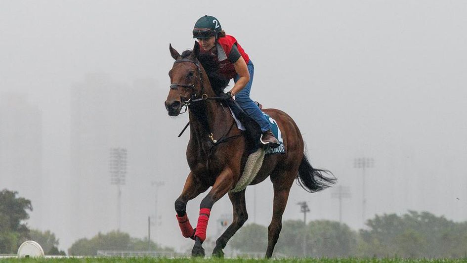 Dubai Honour stretches out amid Sha Tin showers (Alex Evers for HKJC)
