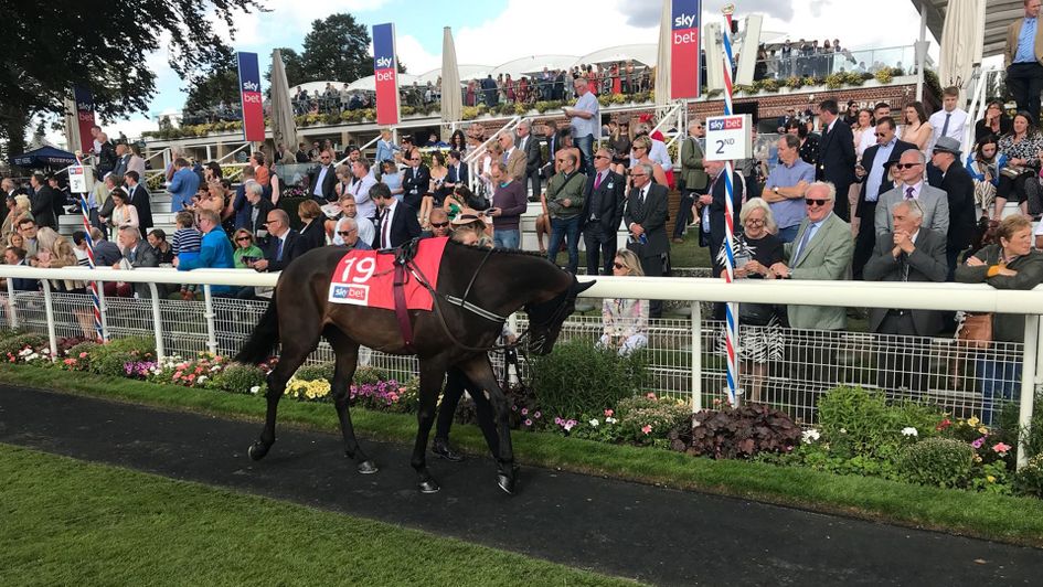 Stratum pictured ahead of the Sky Bet Ebor
