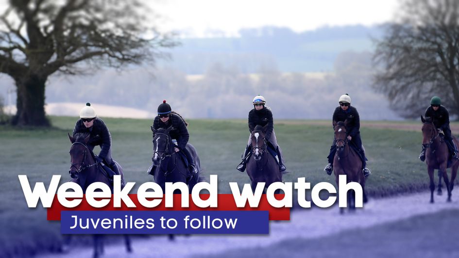 Weekend watch: Juveniles to follow