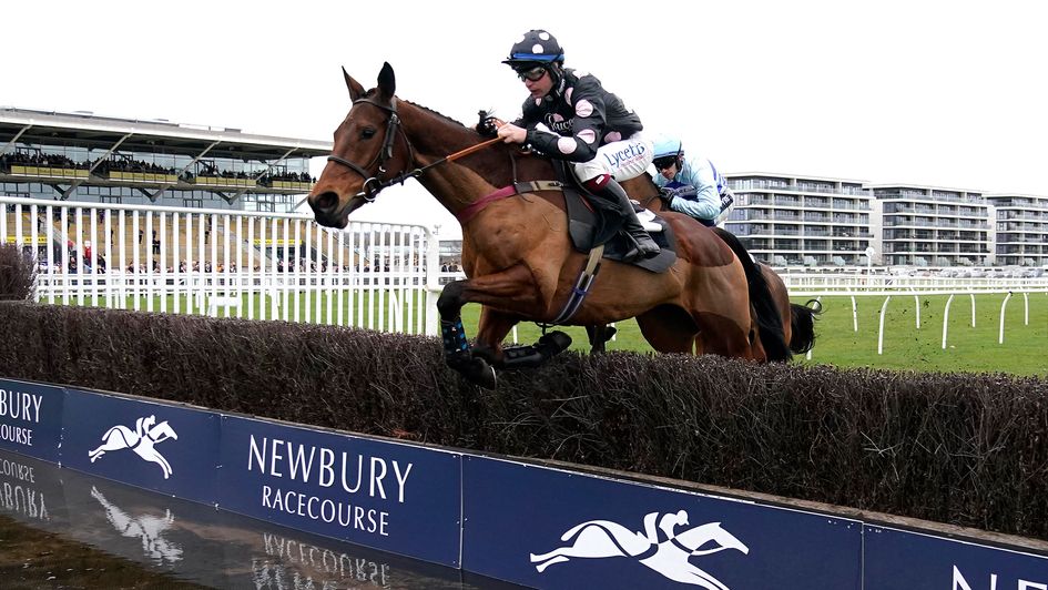 Pink Legend ridden by jockey Charlie Deutsch