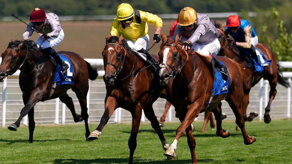 Infraad (yellow silks, far side) survived a Stewards' Enquiry at Goodwood