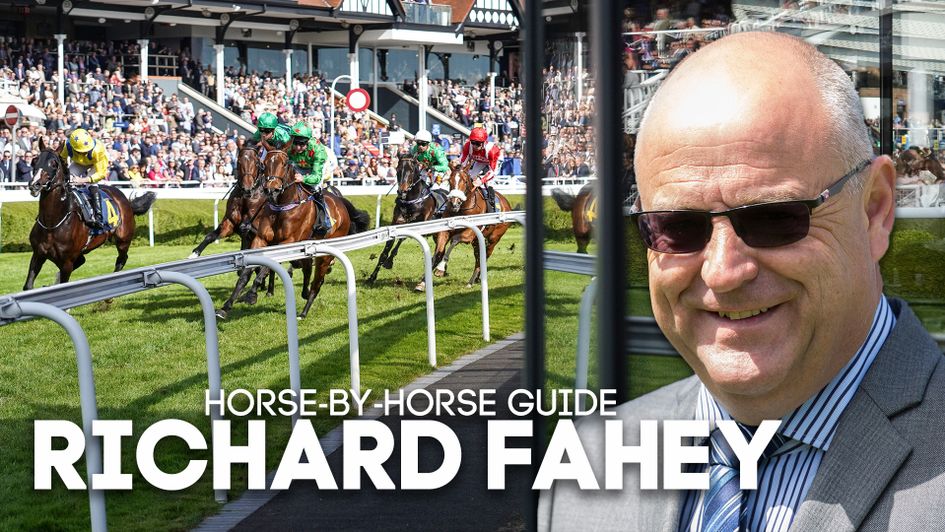 Richard Fahey's latest column