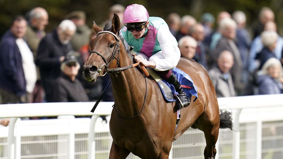 Bluestocking in winning form