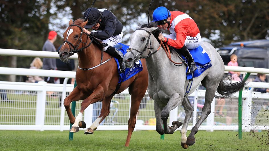 Dark Lady wins at Salisbury