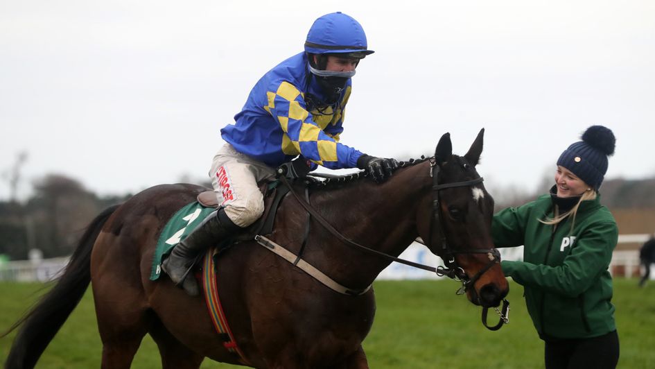 Kemboy after winning the Irish Gold Cup