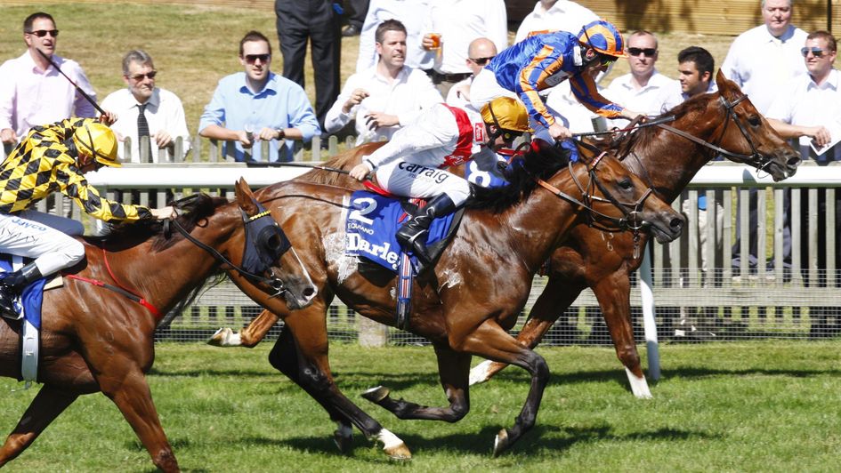 Starspangledbanner wins the July Cup