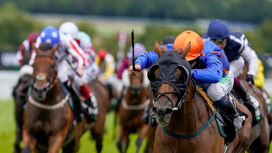 Mr Wagyu routs his rivals