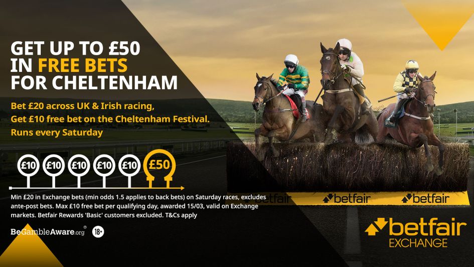 Get FREE bets at Cheltenham Festival