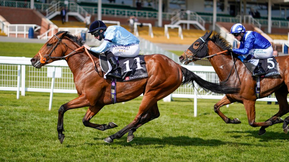 Nugget wins at Newbury under Ryan Moore