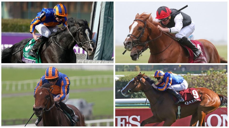 Some of Aidan O'Brien's Royal Ascot team