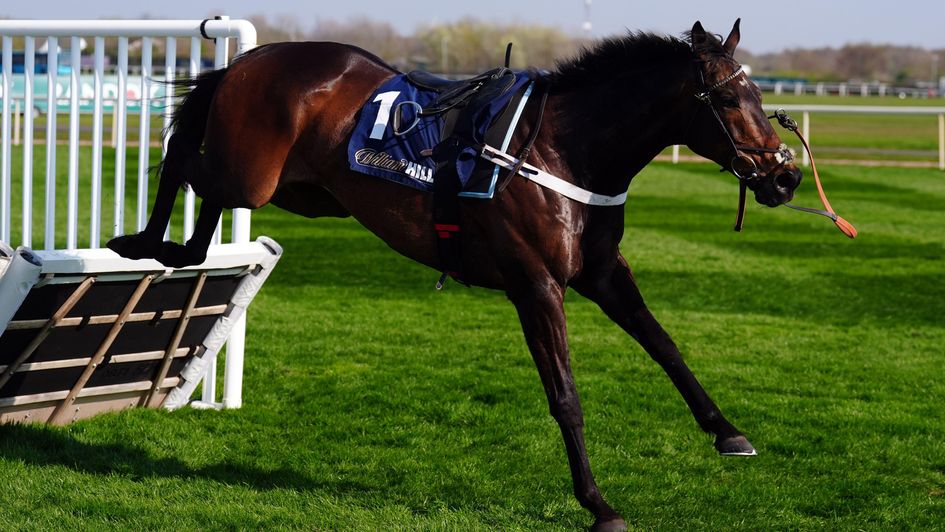 Constitution Hill running loose at Aintree