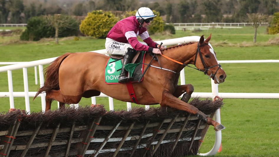 Samcro: Favourite for all the Cheltenham novice hurdles