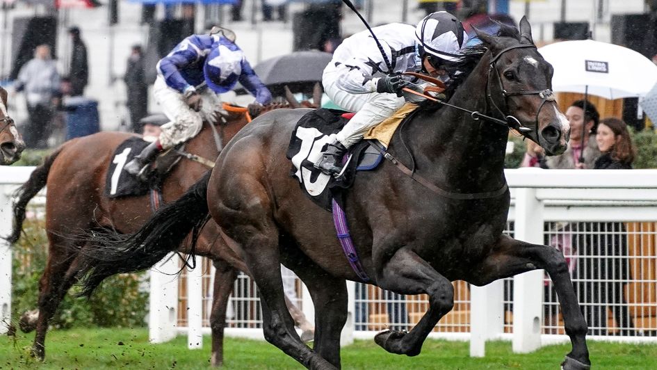 Raising Sand wins at Ascot
