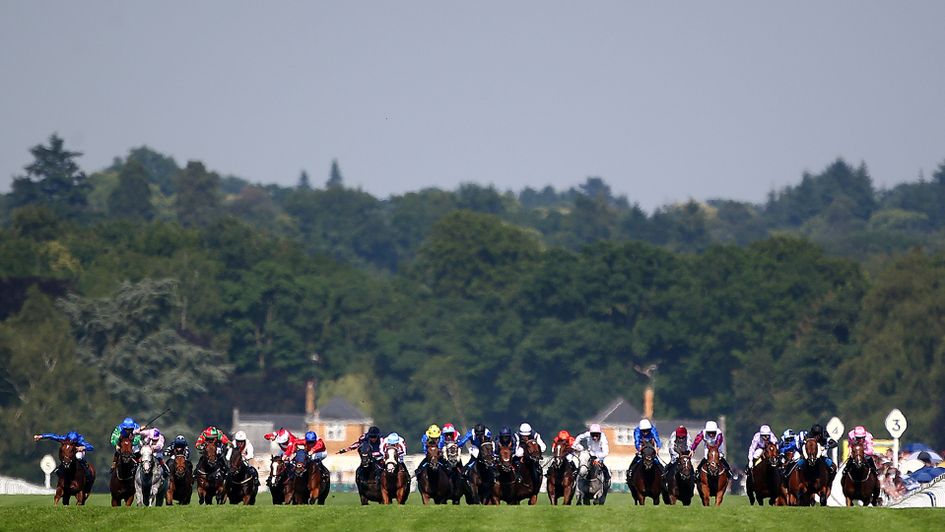 The Royal Hunt Cup is among the hardest races to unravel