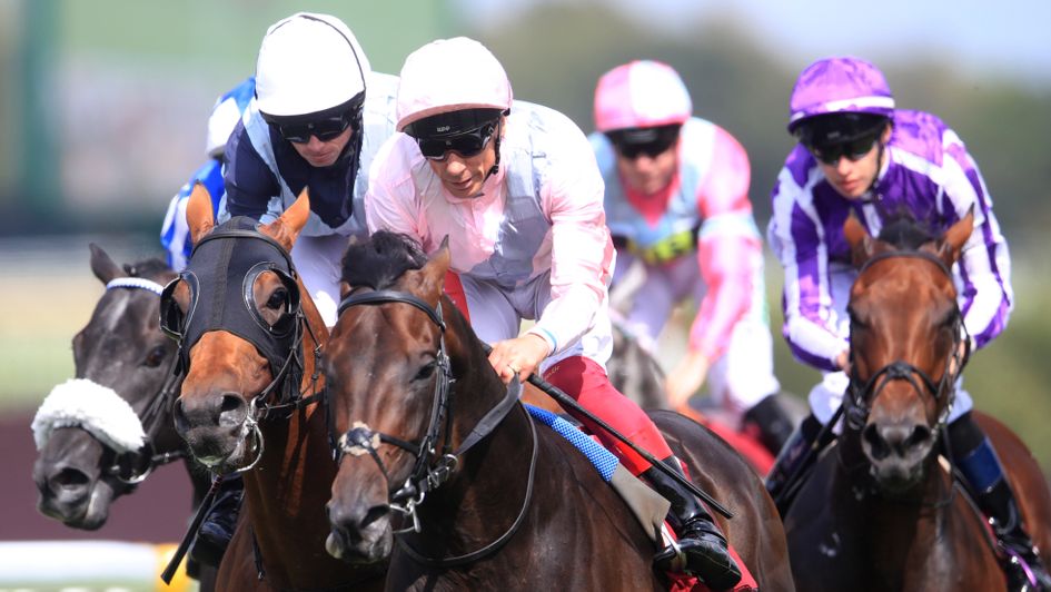 Too Darn Hot Retired After Sustaining Career Ending Injury