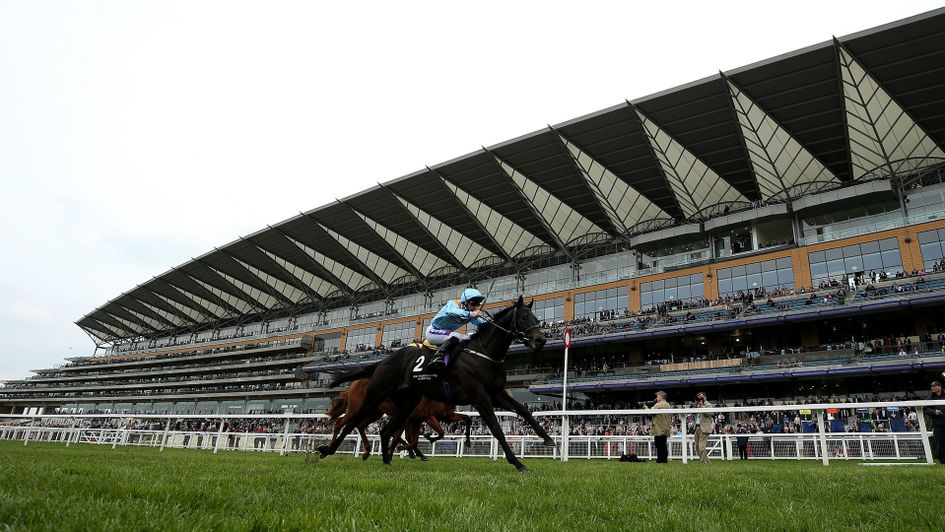 Ventura Rebel wins at Ascot