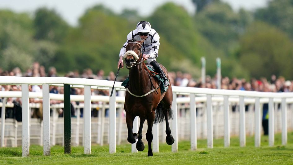 Al Qareem powers to victory