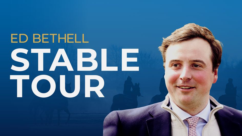 Ed Bethell Stable Tour