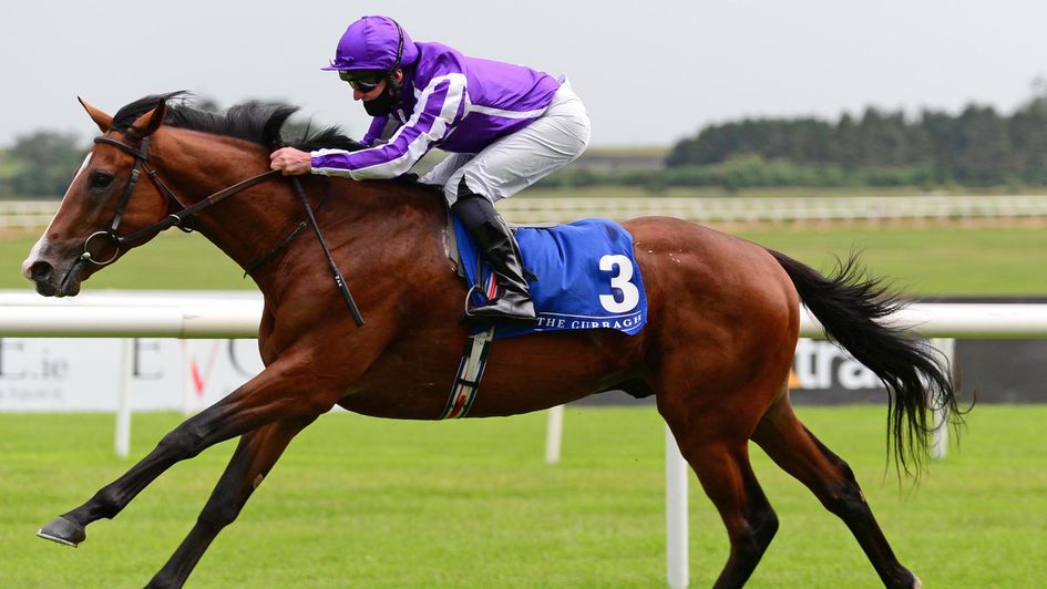 Hudson River - first foal of Mecca's Angel