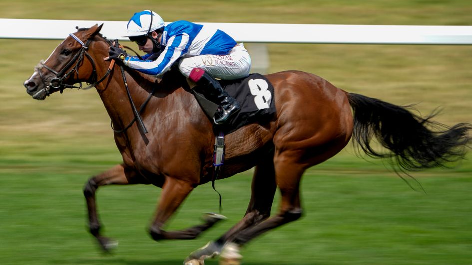 Chill Chill sprints clears at Ascot