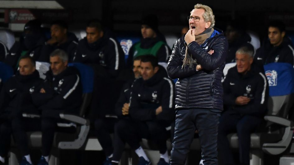 Iceland coach Erik Hamren