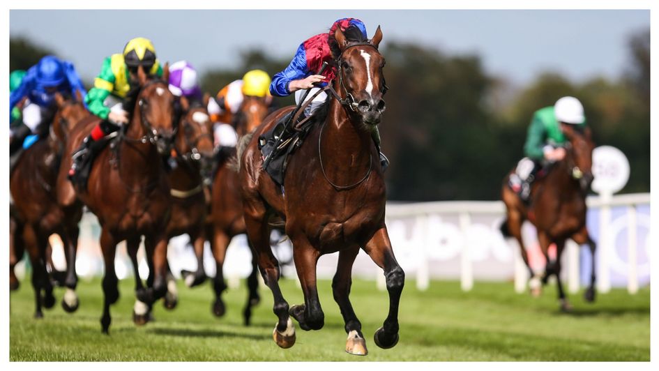 Darkness Falls wins at Leopardstown