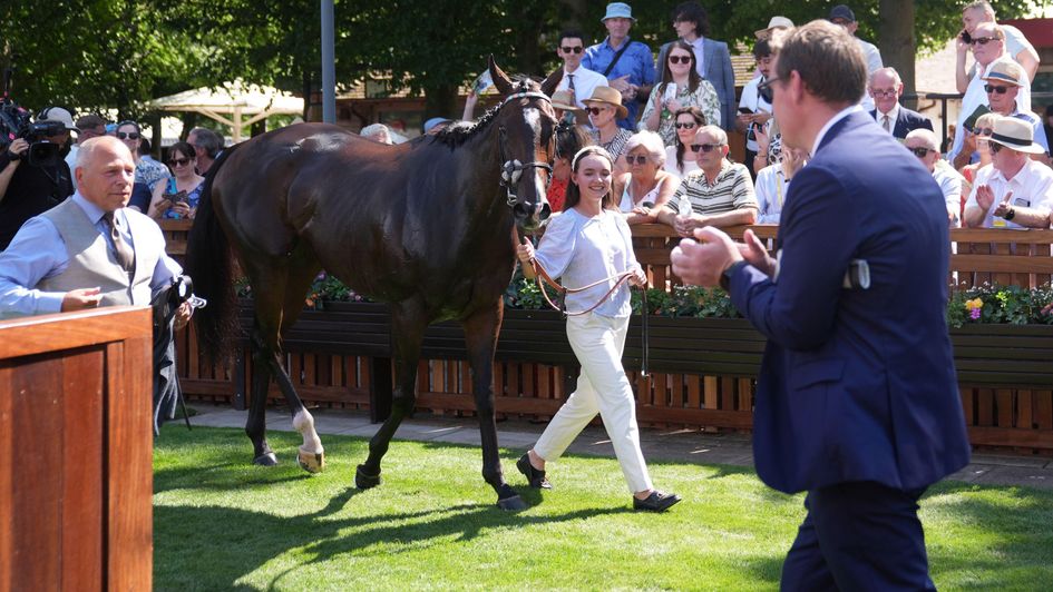 Blue Bolt returns to the winners' enclosure minus Colin Keane