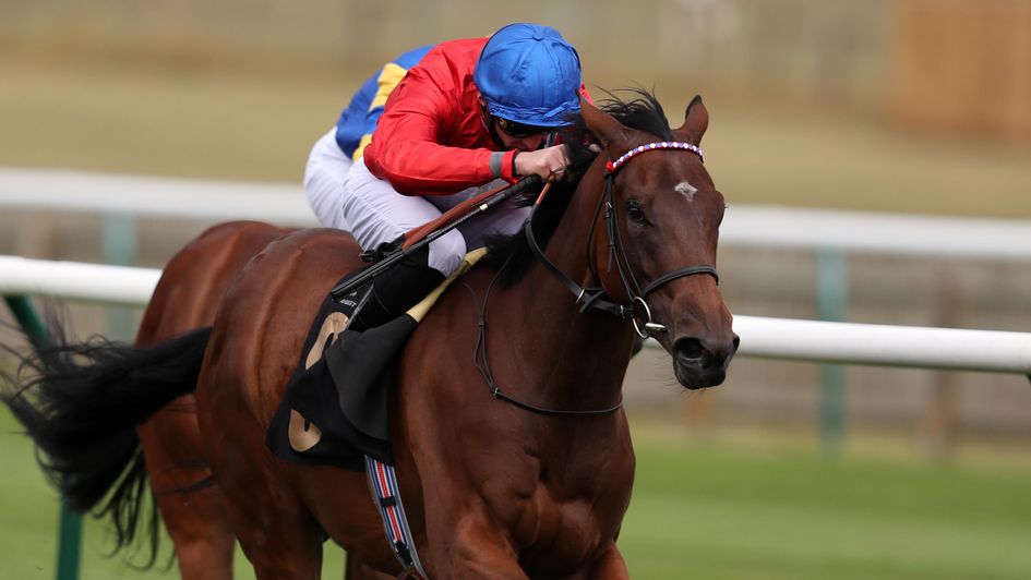 Sacred impresses in the opener at Newmarket