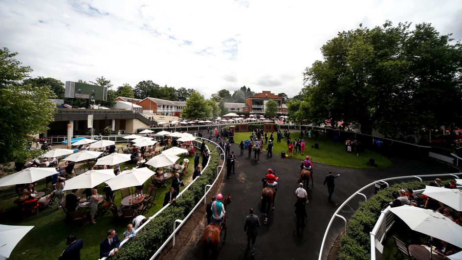 Ascot: The scene of more unsavoury scenes last weekend
