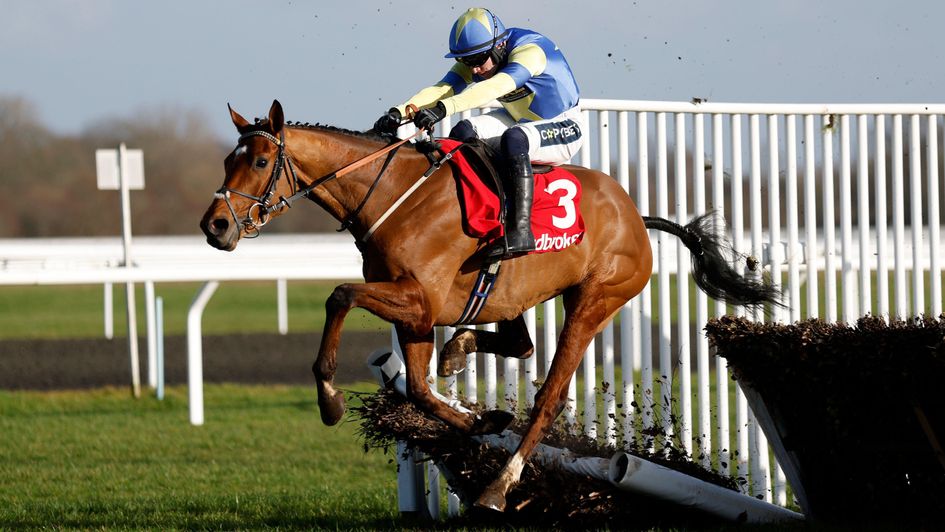 Tripoli Flyer on his way to winning the Dovecote