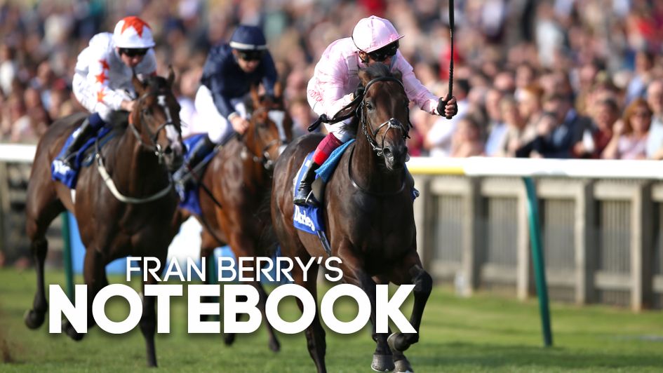 Too Darn Hot returns in the Dante