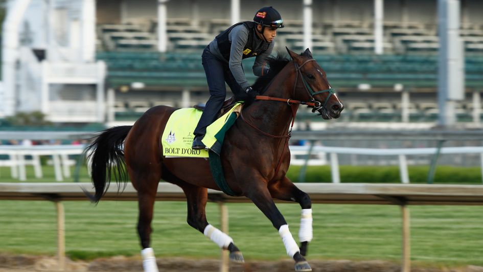 Bolt d'Oro is held in the highest regard by trainer Mick Ruiz