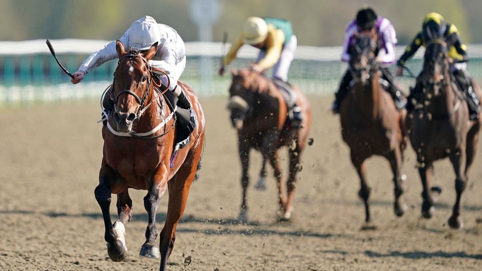 Matterhorn storms to victory at Lingfield
