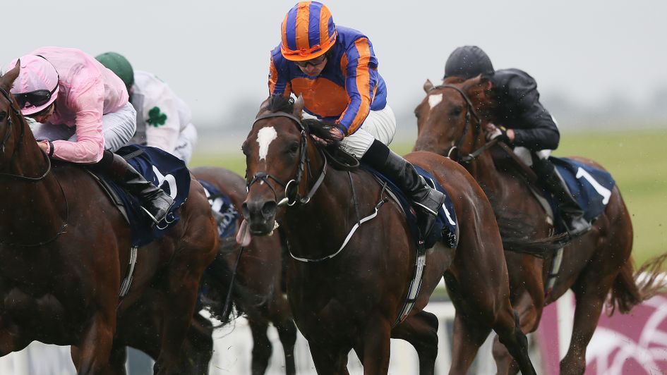 Rostropovich is the pick of Ryan Moore at Chester