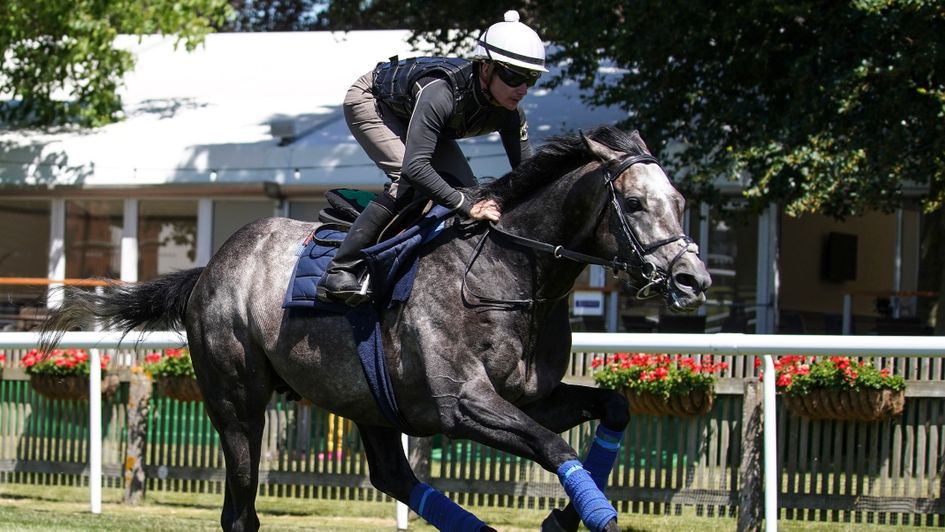 Roaring Lion works at Newmarket