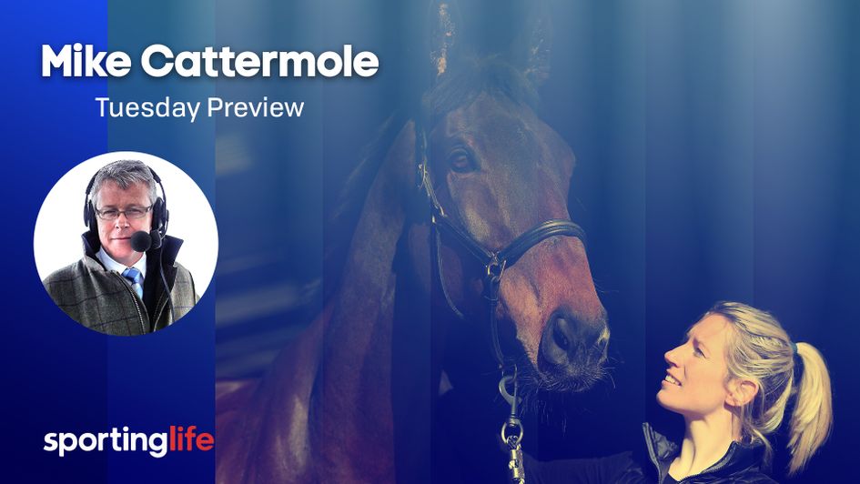 Lalor is backed to win the Arkle