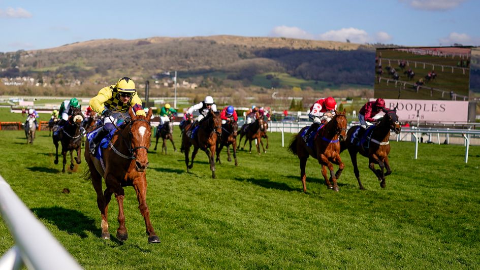 State Man comes out on top in the County